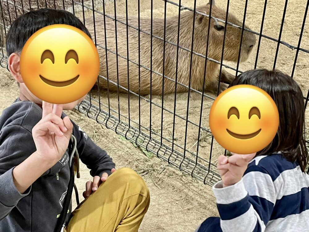 動物園でカピバラとピースする兄妹